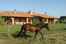 Villa Conchetta-La Villa