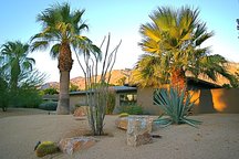 Mid Century Modern Designer Home