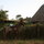 Rancho Ricco horse ranch and farm