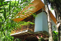 Private Jungle Villa with pool