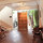 BEST HOUSE IN S. MIGUEL CHAPULTEPEC