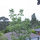 view from writer's desk 