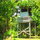 The Best View from a Treehouse in the World!