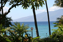 Ocean Front Luxury Condo, free WIFI