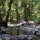 Hiking Olympic National Park - intense beauty