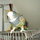 Eddie my other parrot