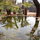 Blissful Katoomba Retreat