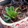 sustainability - well, we try!