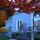 Exterior in Leaf Season