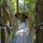 Redwood Treehouse Santa Cruz Mtns.