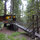 Redwood Treehouse Santa Cruz Mtns.