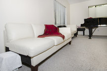 Living Room Couch, downtown MV