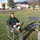 Early spring / Side yard