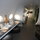 Entire Airplane Suite