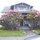 Rhodies in full bloom