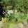 Entrance garden