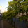 Urban Treehouse