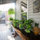 Back patio.
