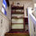Coming up the apartment stairs, entering the living space of the apartment.
