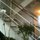 View of the duplex's staircase, when sitting on the east side of the living room, facing west.