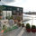 Terrace view