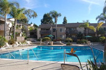 Beautiful La Jolla Poolside Condo