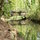 The river Dive to the rear of Le Grand Saule