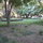 our shared backyard