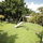 Swingset and Avocado Shade Tree w/Outdoor Furnishing