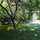 The fruit-tree studded meadow at RiverSea