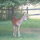 Riverside Ranch