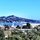 View of Sausalito Harbor