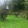 the standing stone