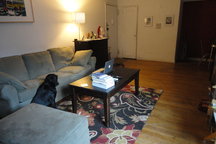 Great Apt near Columbia Hosp & Univ