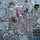 Wine wall in backyard-Isaiah Zagar, artist