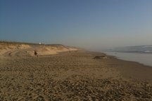 Ocean view 50 mins from Bordeaux