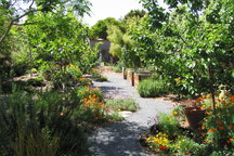 Central Temescal Lodging