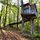 The Tiny Fern Forest Treehouse