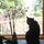 Nigel, the resident cat