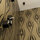 Designer's 2BR Apt with new iPad 3!
