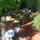 Overlooking the ghetto, fabulous backyard