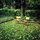 Lg Beautiful Garden Apt Sleeps 4