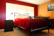 Quiet Bedroom Under Sequoia Tree