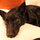 Blackjack: he was living under a car in Haughville, a poor, crime and drug ridden neighborhood in Indy.  He's my athlete.