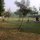 Mom doing Yoga in the neighbouring park ! 