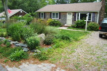 Come share my lakeview house