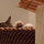 Rizzo - you'll see a lot of her she's sleeping off the last party!