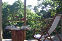 Tree House, Manuel Antonio