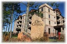 Ski Slope views, 1 Br condo 