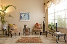 Luxury Living for Peanuts DELIGHT